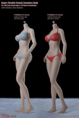TBLeague PHICEN 1/6 Female Seamless S34A S35A 12