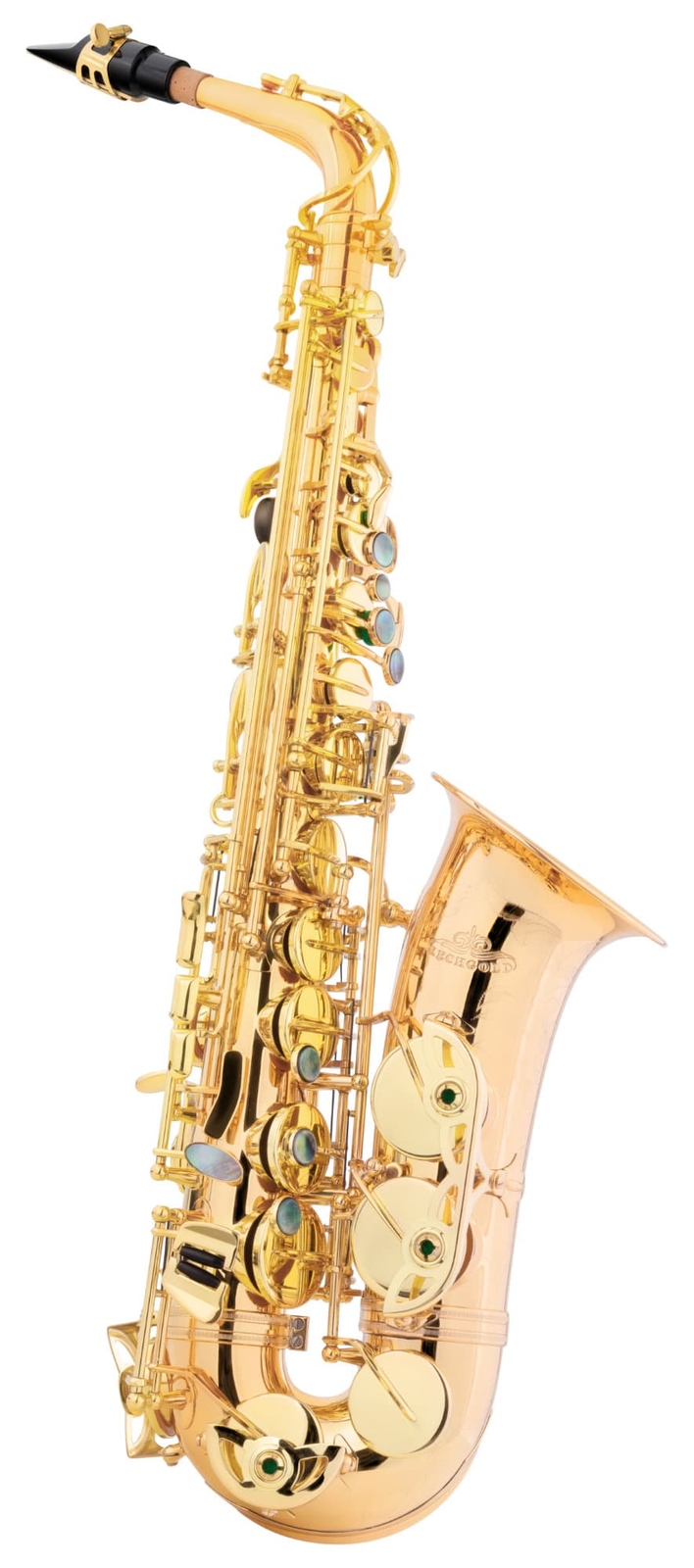 Lechgold LAS-20GL Alt Saxophon Goldmessing Lackiert Koffer Mundstck Saxofon 156590₽