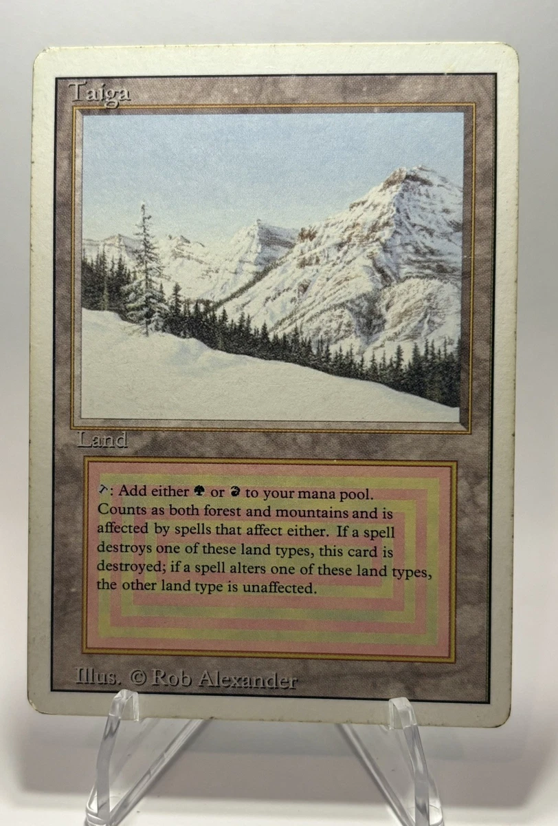 Taiga Magic: The Gathering Individual Trading Card Games for sale