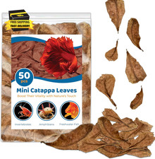 50 Pcs Mini Catappa Indian Almond Leaves for Betta Fish Aquarium, Shrimp, Frogs,
