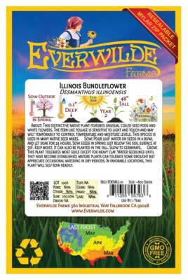 800 Illinois Bundleflower Wildflower Seeds - Everwilde Farms Mylar Seed  Packet | eBay