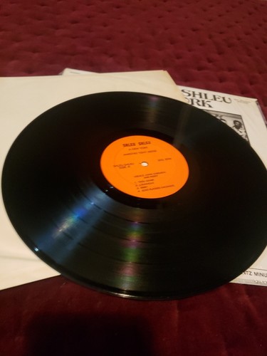 Rare Les Shleu Shleu A New York Mini Records 1038 LP - Imagen 2 de 7