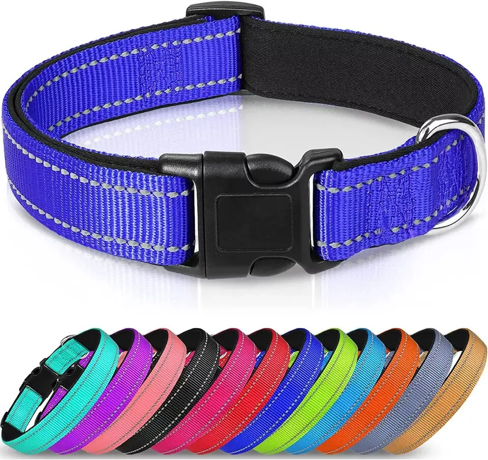 Dog cheap collars padded