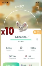 10x Minccino Pokemon Bundle !! Good Chance of Lucky and Good IVs !! Go