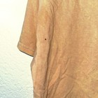 Picture 9 of 10