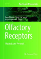 Olfactory Receptors | Methods And Protocols | Souza (U. A.) | Taschenbuch | Xi