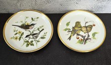 Vintage Coalport Bone China British Birds Plates Whitethroat Greenfinch Gold Rim