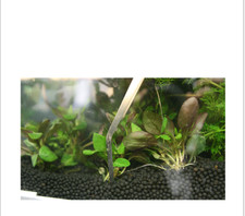 27cm Aquarium Fish Tank Live Plant Curve Long Tongs Stainless Steel Tweezers New