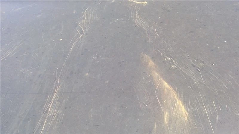 Porta-malas/escotilha/porta traseira sem spoiler compatível com 03-06 Kia Optima fabricante de equipamento original - Imagem 2 de 4