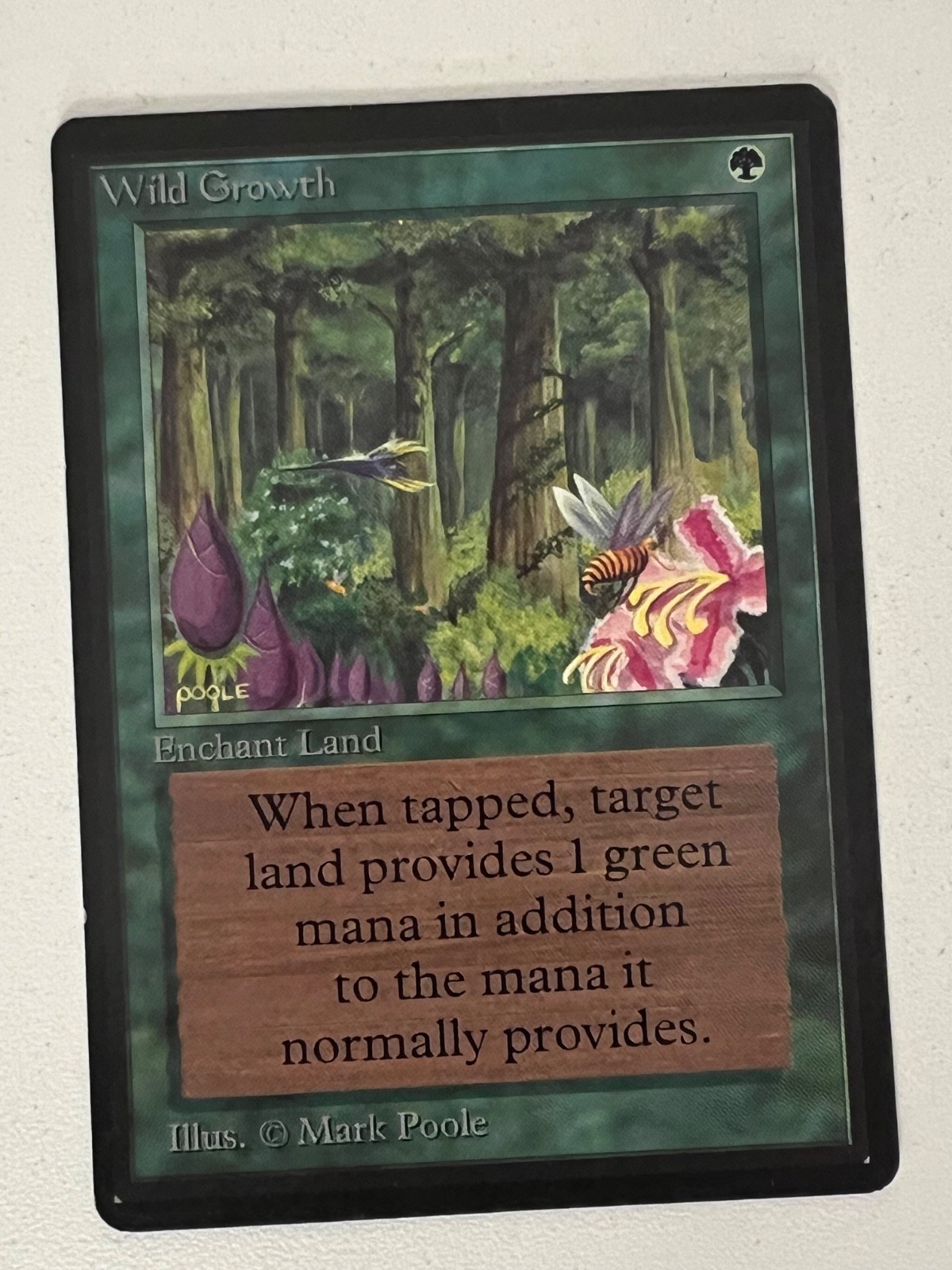 Magic the Gathering MTG Beta Wild Growth NM-  (Beta Bob)