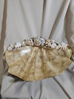 Handcrafted Capriz Shell Clam Bowl Whites Tans Exquisite Piece 18w-13h ...