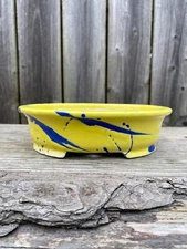 japanese bonsai pot tokoname 柴勝 SHIBAKATSU 