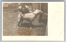 1907 RPPC BOY & HIS DOG, HANDLEY TX TO FORT WORTH CANCEL PHOTO Postcard Q1