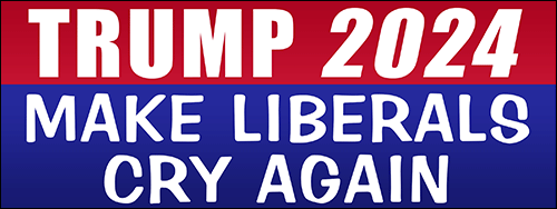Pegatina parachoques de 3x8 pulgadas Trump 2024 Make Liberals Cry Again (presidente divertido de EE. UU.) - Imagen 1 de 1