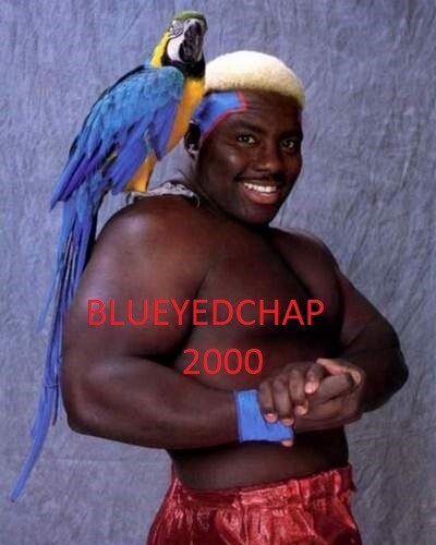 KOKO B WARE WRESTLER 8 X 10 WRESTLING PHOTO WWF NWA | eBay