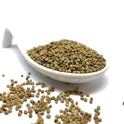 0.4kg Weiße Saat vom Roten Langen Pfeffer (Piper retrofractum) Long White Pepper