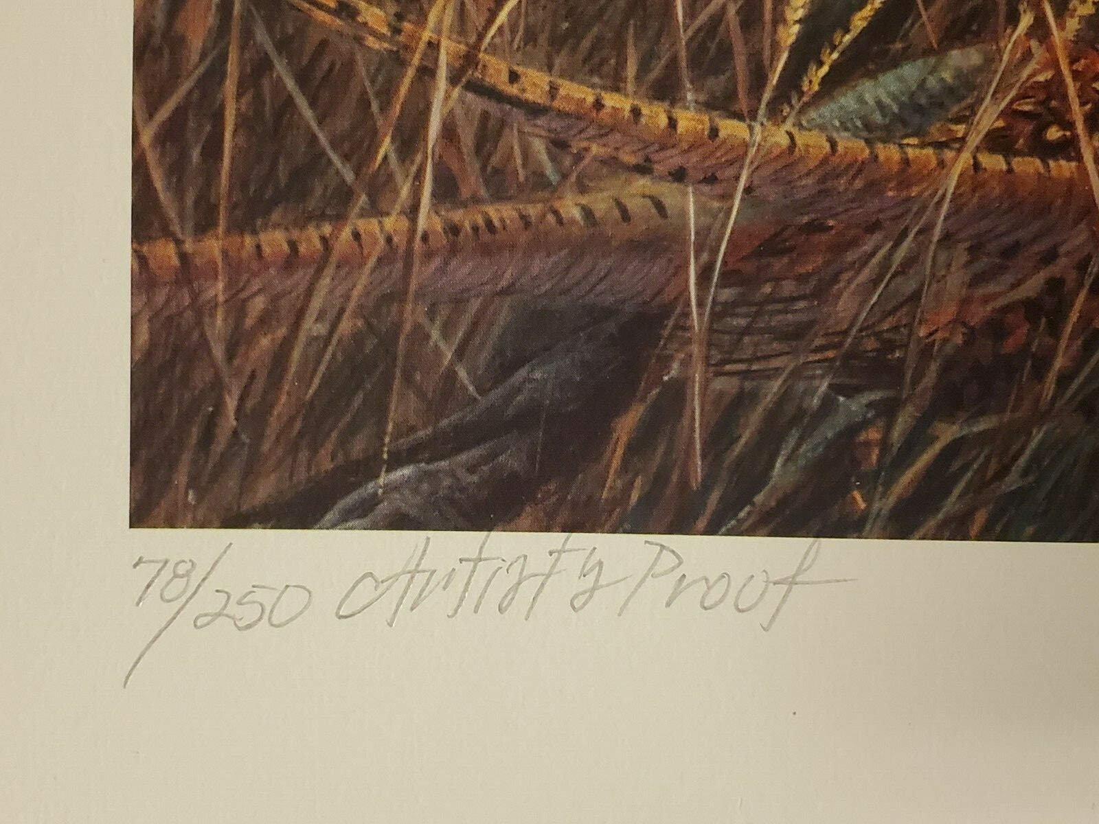 Picture 7 of 12