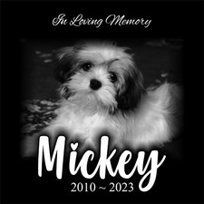 Pet Memorial Stone, Dog Memorial Personalized, Pet Grave Marker, Headstone 12x12