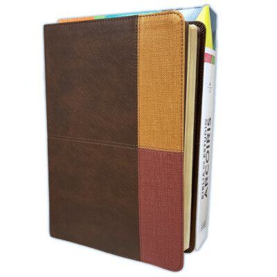 Biblia de Estudio Arco Iris Pastoral Reina Valera 1960 dos tonos cafe