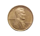 1929-S Lincoln Wheat Cent -Very Nice Ch BU R/B Collector Coin-c7223udxx