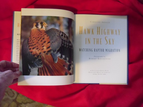 Hawk Highway in the Sky : Watching Raptor Migration by Caroline Arnold (1997,... - Picture 5 of 5