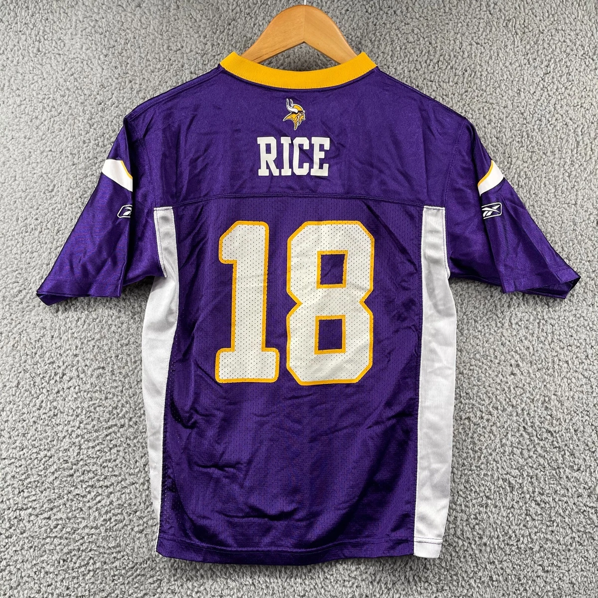 NFL Minnesota Vikings XL Pet Stretch Jersey