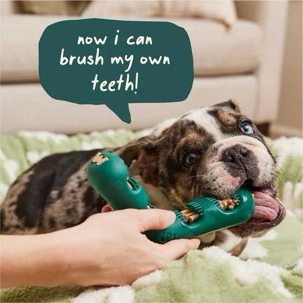 Woof Bite N' Brush Dog Chew Toy Toothbrush Teeth Cleaning, Size Large - Image 4 of 4