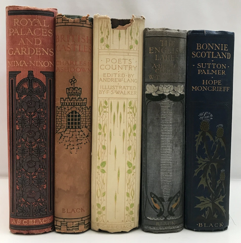 1907-16 COLLECTION OF 5  TOPOGRAPHY BOOKS Royal Palaces  Lakes COLOUR PLATES - Image 2 of 4