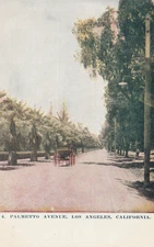 Los Angeles CA-California, Horse & Buggy Driving Palmetto Ave, Vintage Postcard