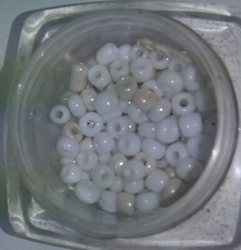 Pearl White Loose Seed Beads 100 Count