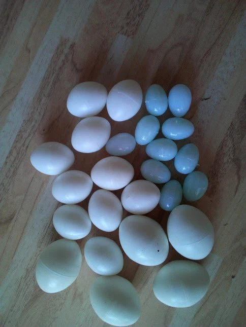 Nesteier Kanarien Wellensittich Vogeleier Exoten Kanarienvogel Nestei 5 Stück - Bild 3 von 4