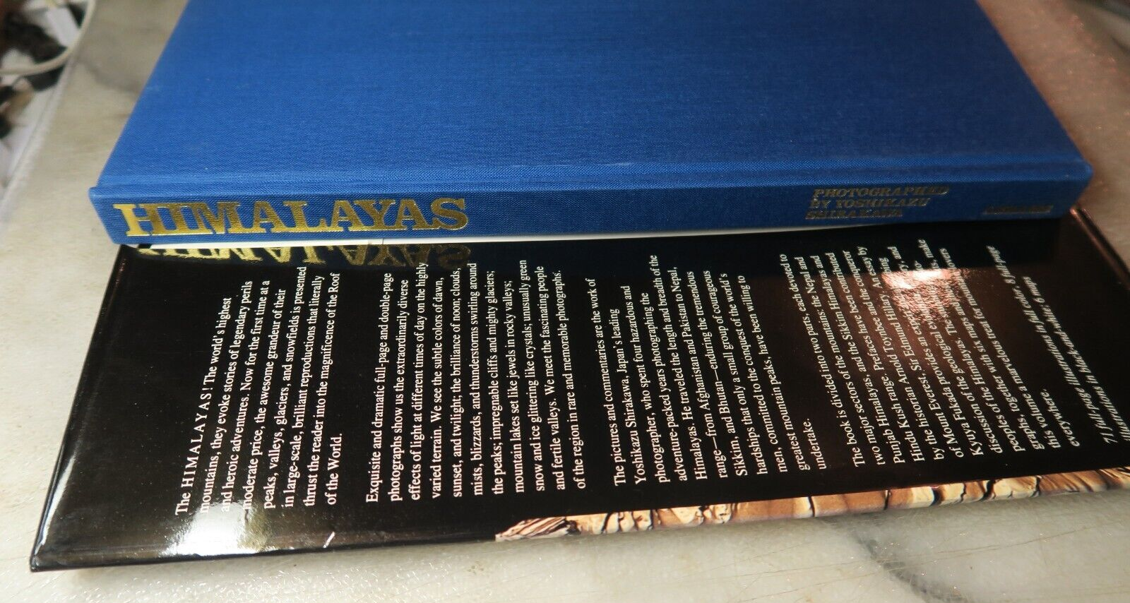 Foto 2 di 15