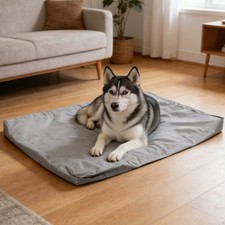 Pet Mattress Cover Bed Covers for Dogs Washable Protector with Zipper