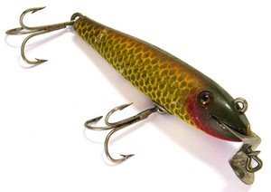 Creek chub Fintail Shiner | eBay