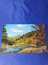 The Ausable River Postcard Adirondack Mountains Trout Chrome Divided