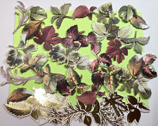 Anna Griffin Foilage Stickers 39 Pieces