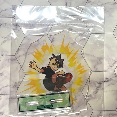 Inazuma Eleven Fudo Myoo Acrylständer AnimeJapan