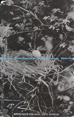 R037190 Vögel Nester und Eier. Heckensperling. G. D. und D. L. Der Stern. 1907