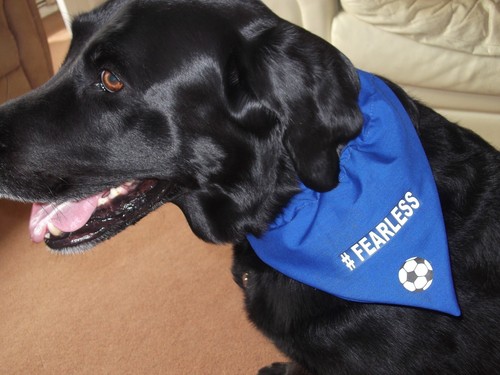 PAÑUELO DE PERRO HECHO A MANO CON TEMÁTICA DE FÚTBOL REAL ~ Deslizante en cuello - Imagen 2 de 3
