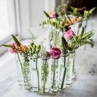 NEW Culinary Concepts S-Shaped Test Tube Table Vase S Shaped Glass Gold