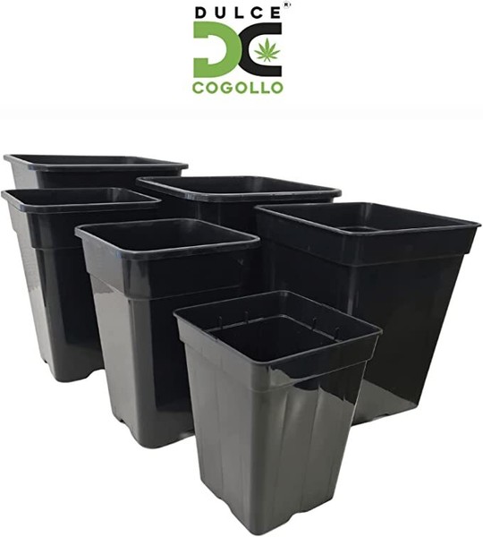 Maceta de Cultivo Cuadrada Negra (Pack) Sistema Drenaje para Plantas Deliciosas