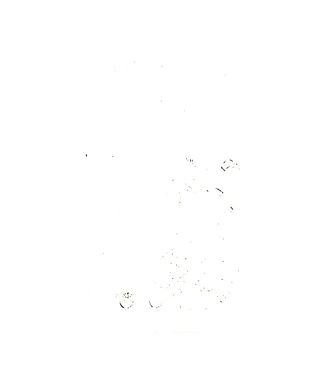 Vintage/Retro Decoración para el Hogar botánico giclees y estampados de Iris