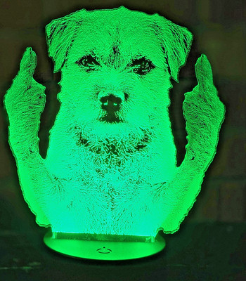 Border Terrier Mittelfinger Acryl LED Lampe Geschenk