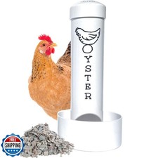 Oyster Shell Feeder for Chickens