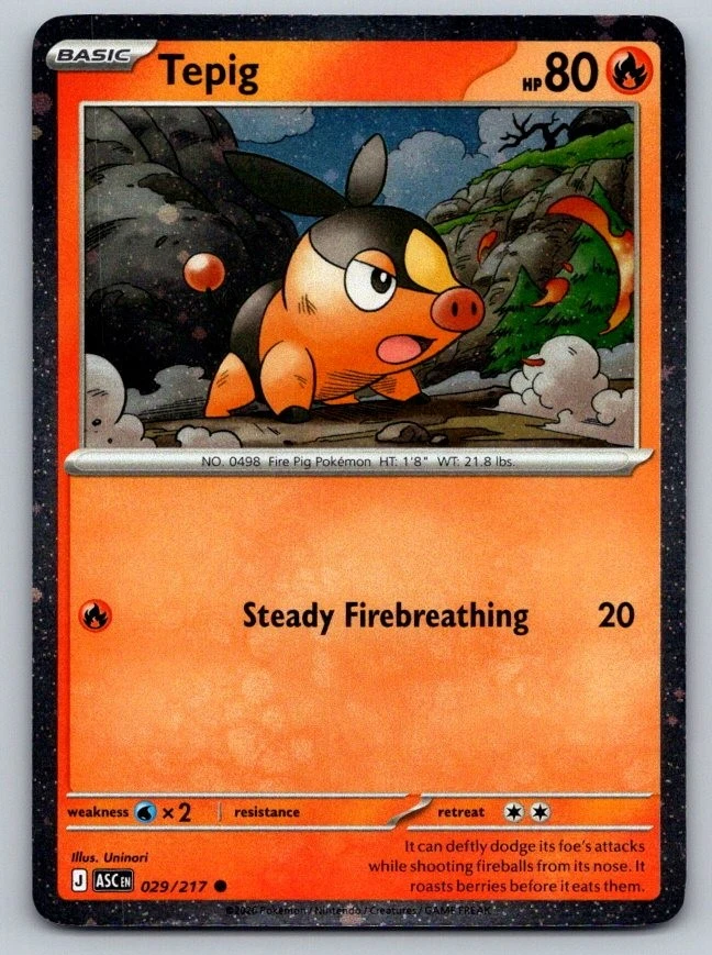 Pokmon Tepig Individual Trading Cards for sale | eBay