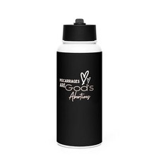 Stainless steel water bottle with a straw lid