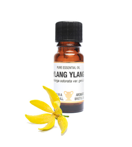 Amphora Aromatics Ylang Ylang Pure Essential Oil 10ml