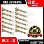 10 WALL MOUNTED GOLD DOOR STOPS BRASS PLATED METAL SPRING SPIRAL RUBBER STOPPERS