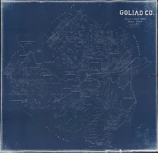 24" x 24" 1896 Map of Goliad Co. - Shows land ownership.