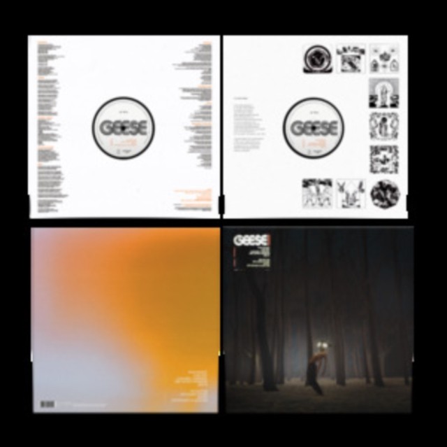 GEESE - Projector - Vinyl (LP) - Image 5